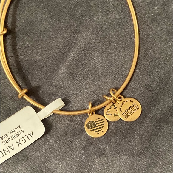 Alex and Ani Bangle Bracelet Anchor Charm - Picture 3 of 3